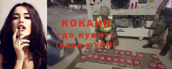 ПСИЛОЦИБИНОВЫЕ ГРИБЫ Абаза