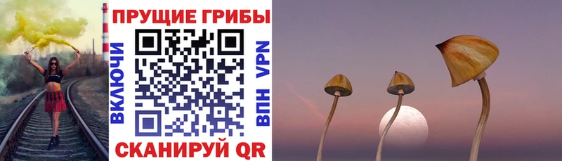 МЕГА сайт  Канск  Галлюциногенные грибы мухоморы 